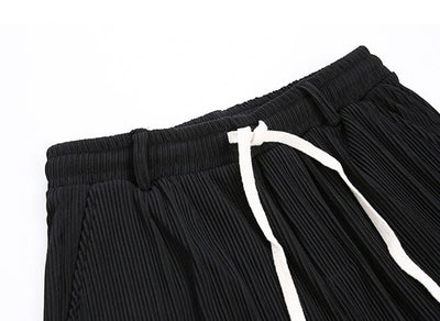 RT No. 922 PLEATED WIDE PANTS